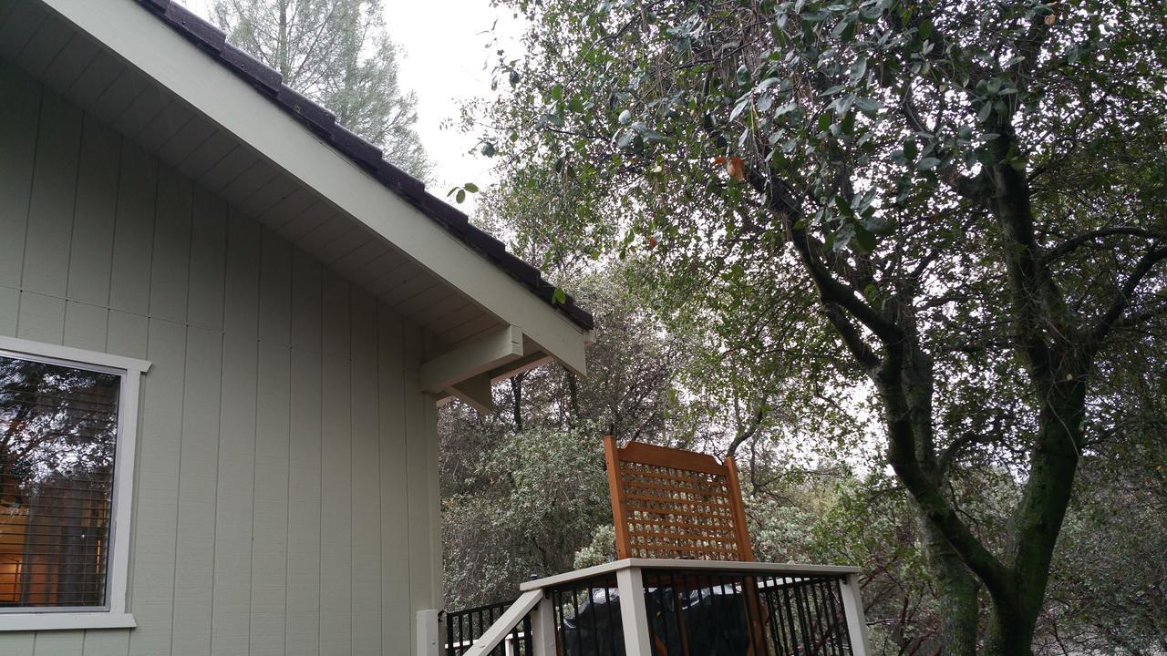 Lovely Mountain Lake Chalet By Yosemite: Equipped! Groveland Eksteriør bilde